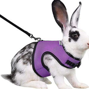 Niteangel Adjustable Soft Harness  for Rabbits